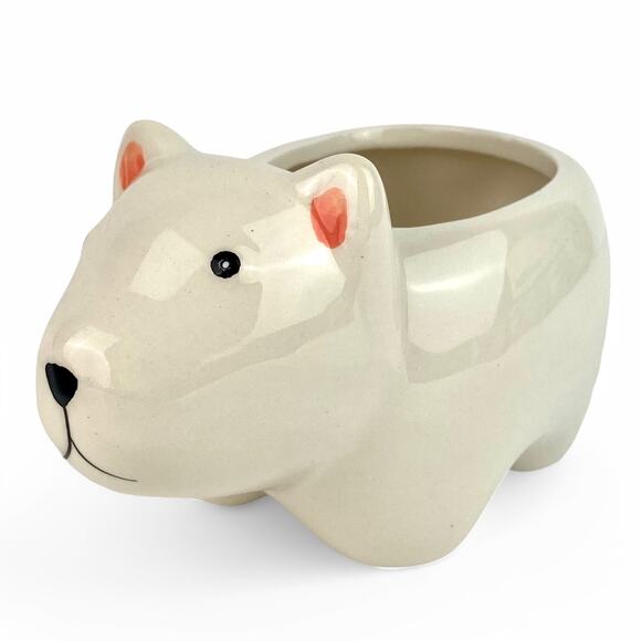 Paul Polar Bear Ceramic Animal Planter Grow Kit Perfect for Succulents - Picture 1 of 6
